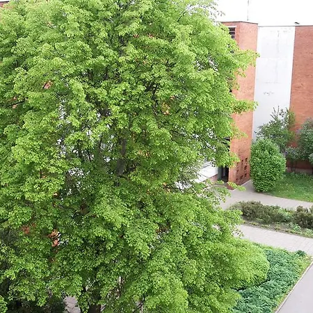 アパート Amber Sky *